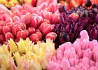 April means many spring flowers at the market, especially tulips.